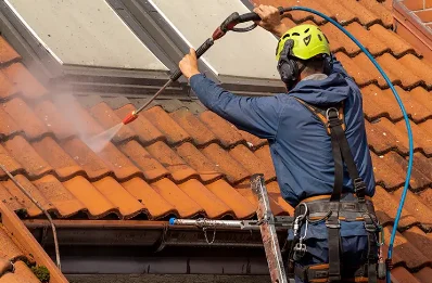 Démoussage et hydrofuge de toiture à Freix-Anglards
